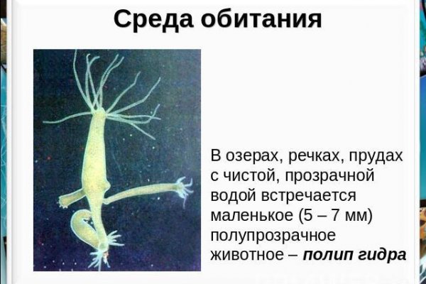 Kraken 16 at сайт