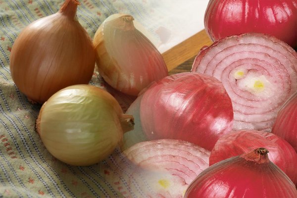 Kraken tor onion