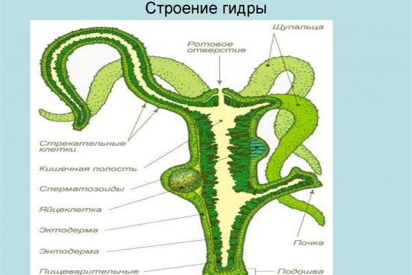 Кракен купить порошок krk market com